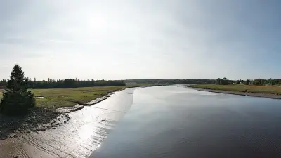 Pleasant River near Addison Town Landing, with exposed tidal banks and salt marsh; the launch itself is not pictured