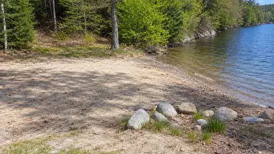 AI illustration of the wooded shoreline at Alford Lake, Hope, Maine