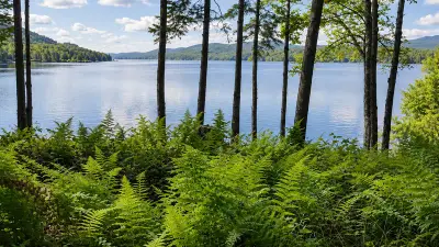 AI illustration of Aziscohos Lake, Maine