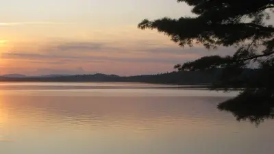 Sunset over Chesuncook Lake, Maine, framed by pine branches.