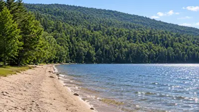 AI illustration of Donnell Pond's Schoodic Beach, with a sandy shore and wooded ridge