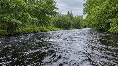 AI illustration of the East Machias River in Crawford, Maine