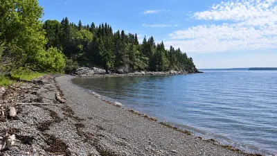 AI illustration of Machias Bay, Maine