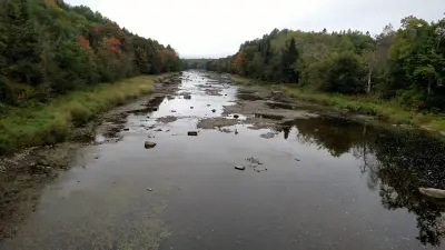 Shallow water and exposed stones in the Meduxnekeag River in Maine, bordered by mixed forest.
