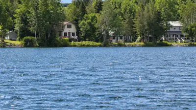 AI illustration of Pleasant Lake, Island Falls, Maine