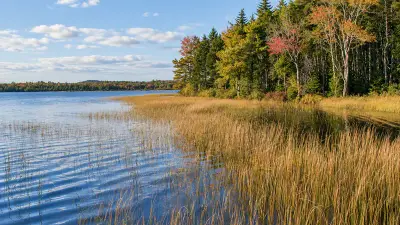 AI illustration of Rocky Lake, Whiting, Maine