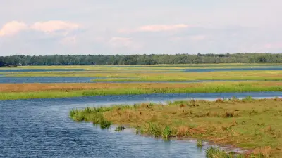 Tidal channels and salt marsh at Scarborough Marsh, Maine