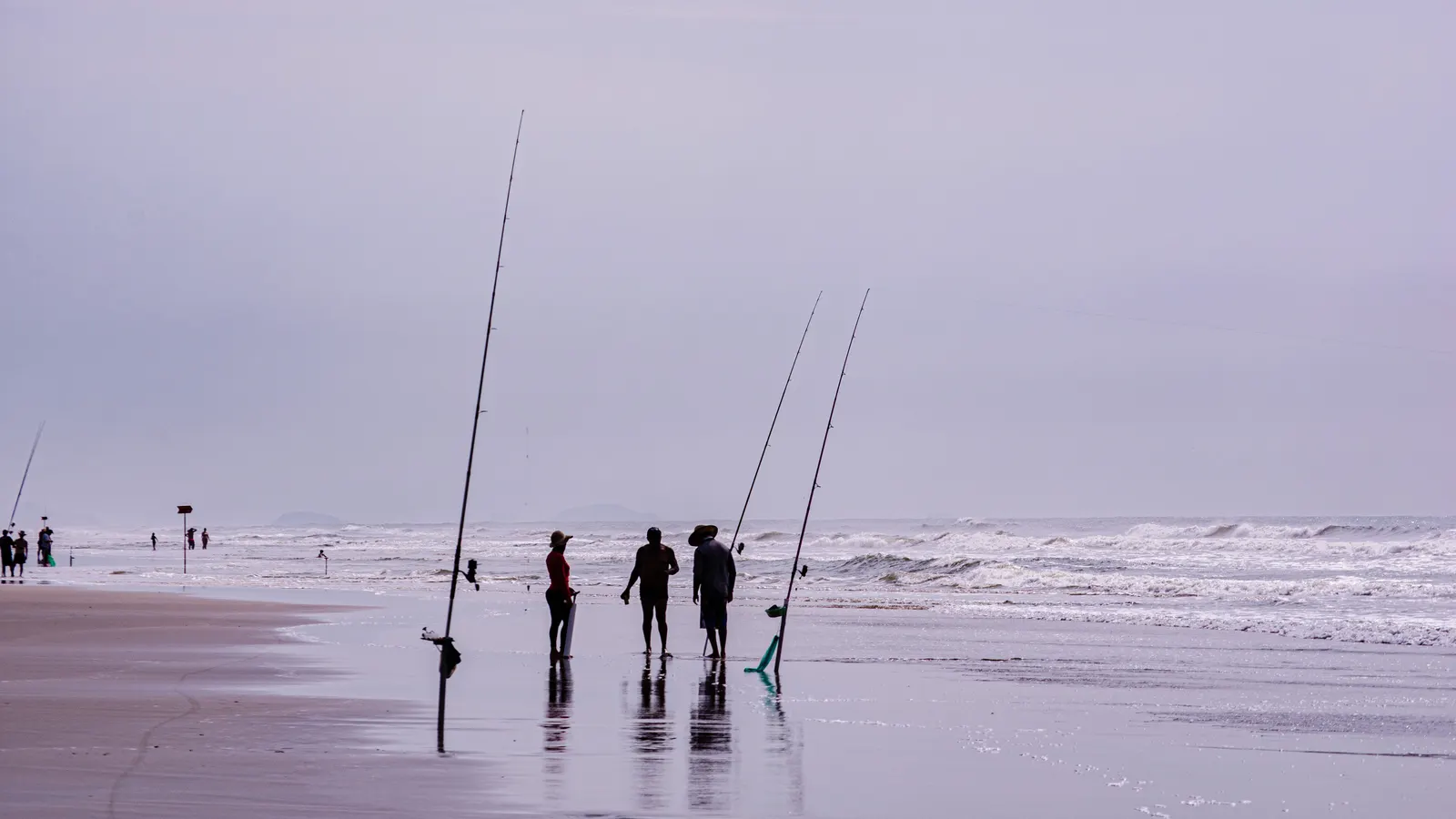 Surf rods planted in the wet sand as anglers work the breakers under a flat, overcast coastal sky